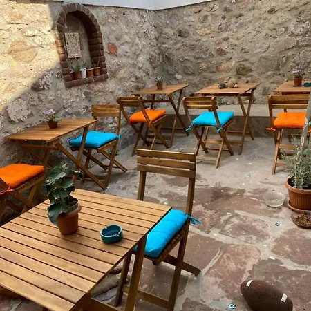 Noah Apart *